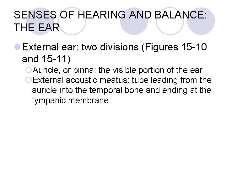 SENSES OF HEARING AND BALANCE: THE EAR l External ear: two divisions (Figures 15