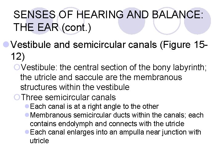 SENSES OF HEARING AND BALANCE: THE EAR (cont. ) l Vestibule and semicircular canals