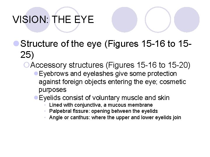 VISION: THE EYE l Structure of the eye (Figures 15 -16 to 1525) ¡Accessory