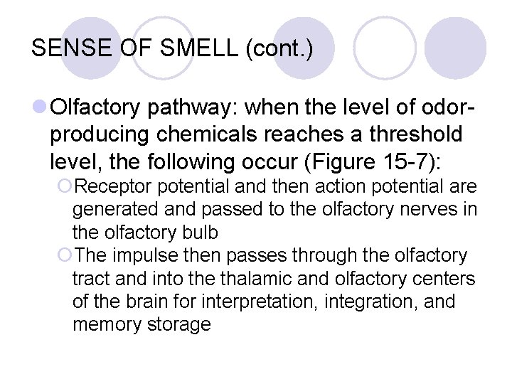 SENSE OF SMELL (cont. ) l Olfactory pathway: when the level of odorproducing chemicals