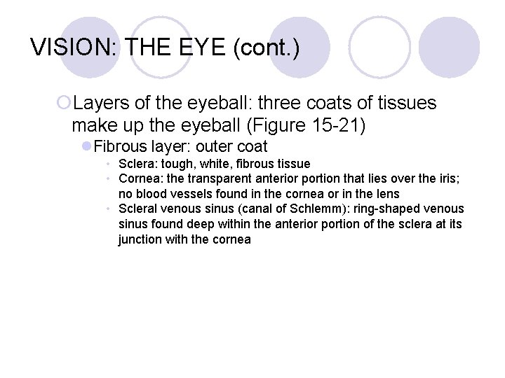 VISION: THE EYE (cont. ) ¡Layers of the eyeball: three coats of tissues make