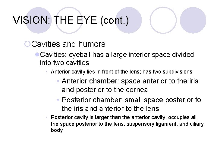 VISION: THE EYE (cont. ) ¡Cavities and humors l. Cavities: eyeball has a large