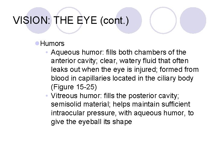 VISION: THE EYE (cont. ) l. Humors • Aqueous humor: fills both chambers of