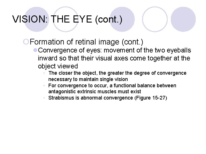 VISION: THE EYE (cont. ) ¡Formation of retinal image (cont. ) l. Convergence of
