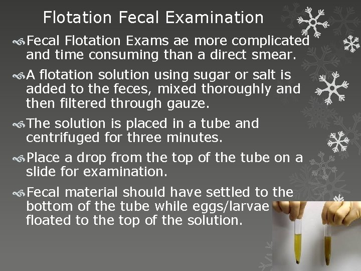 Flotation Fecal Examination Fecal Flotation Exams ae more complicated and time consuming than a