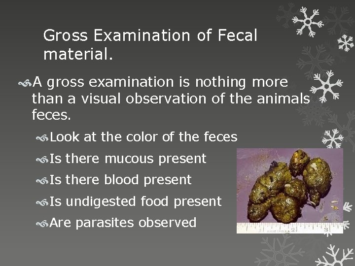 Gross Examination of Fecal material. A gross examination is nothing more than a visual