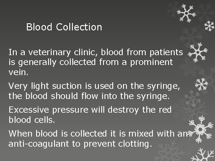 Blood Collection In a veterinary clinic, blood from patients is generally collected from a