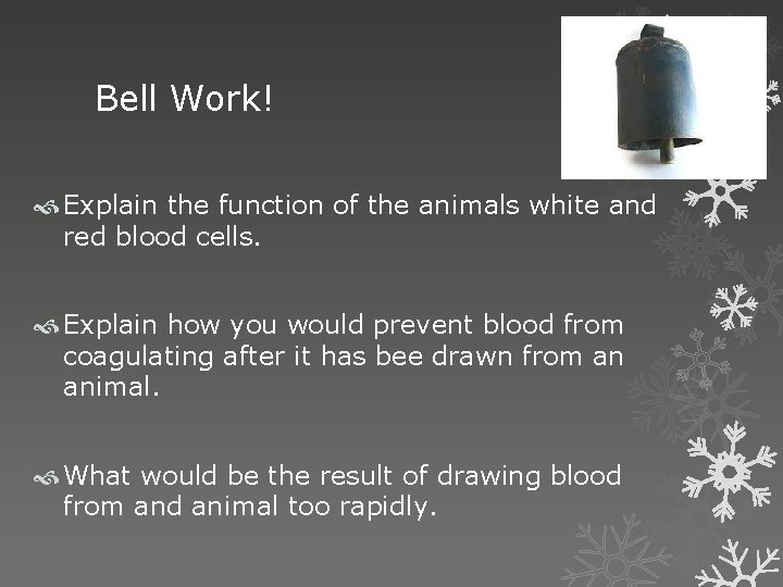 Bell Work! Explain the function of the animals white and red blood cells. Explain