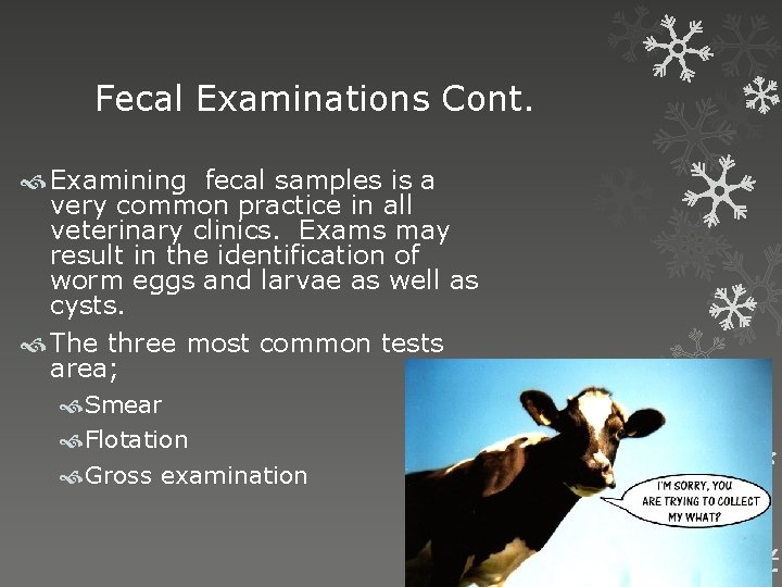 Fecal Examinations Cont. Examining fecal samples is a very common practice in all veterinary