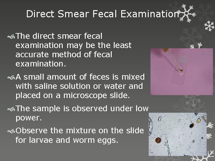 Direct Smear Fecal Examination The direct smear fecal examination may be the least accurate