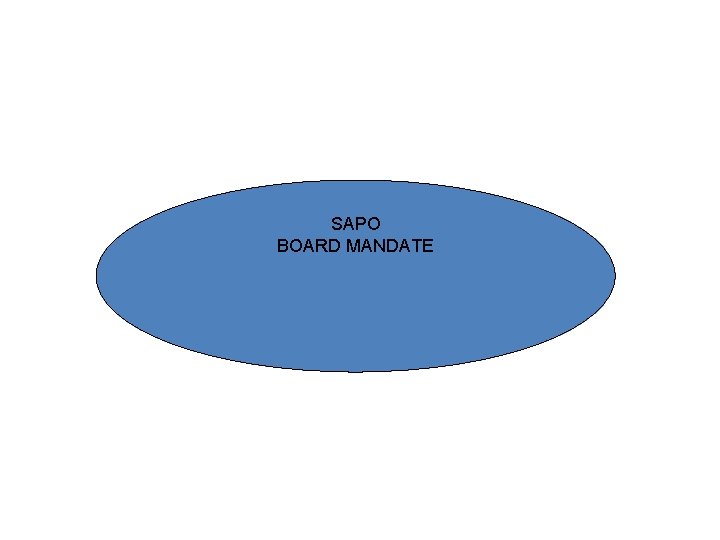 SAPO BOARD MANDATE 