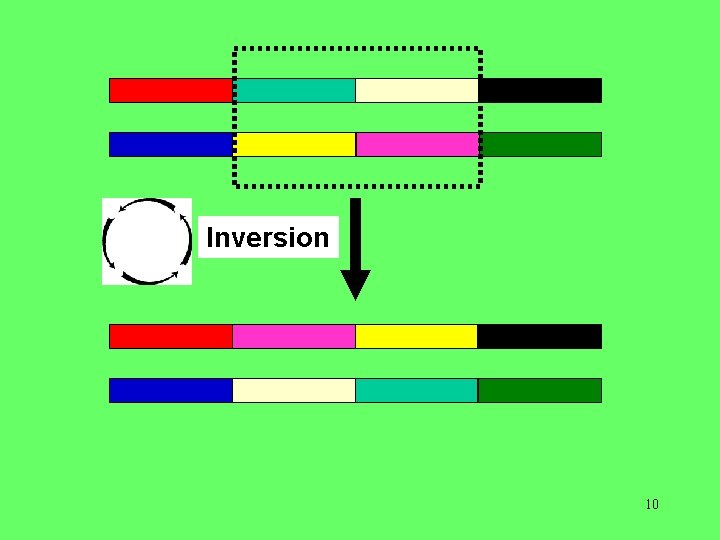 Inversion 10 