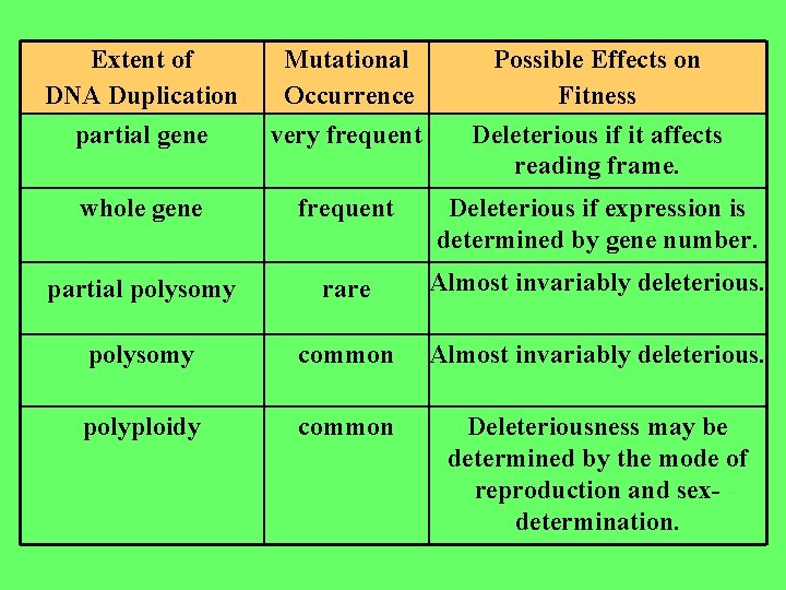 Extent of DNA Duplication partial gene Mutational Occurrence very frequent Possible Effects on Fitness