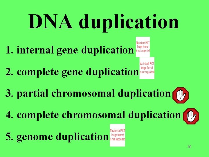 DNA duplication 1. internal gene duplication 2. complete gene duplication 3. partial chromosomal duplication