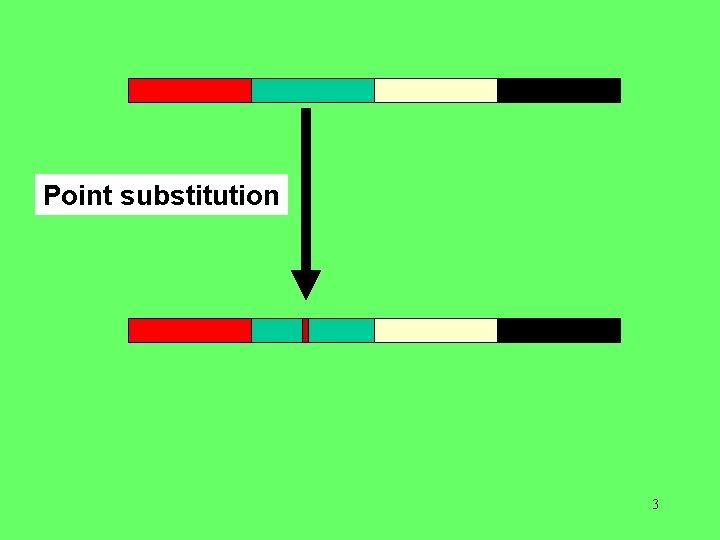 Point substitution 3 