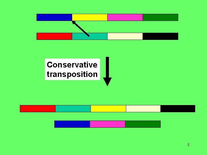 Conservative transposition 8 