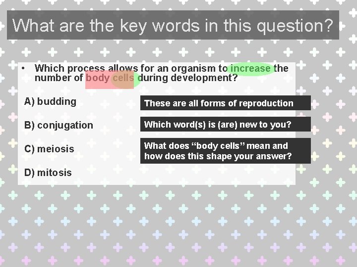 What are the key words in this question? • Which process allows for an