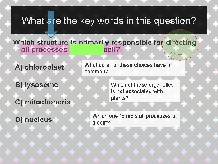 What are the key words in this question? Which structure is primarily responsible for