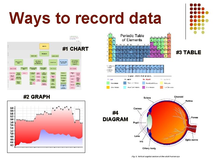 Ways to record data #1 CHART #3 TABLE #2 GRAPH #4 DIAGRAM 