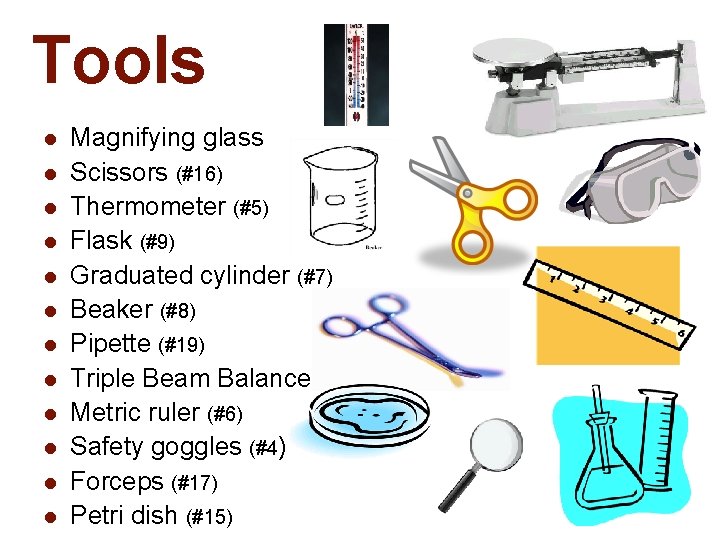 Tools l l l Magnifying glass Scissors (#16) Thermometer (#5) Flask (#9) Graduated cylinder