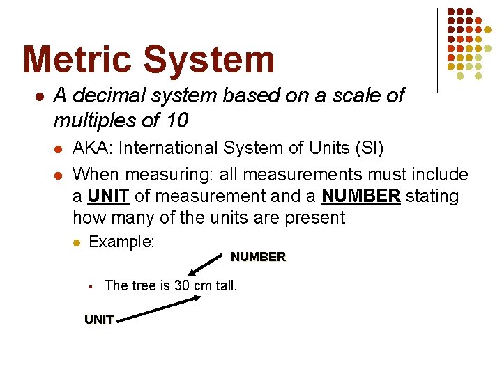 Metric System l A decimal system based on a scale of multiples of 10