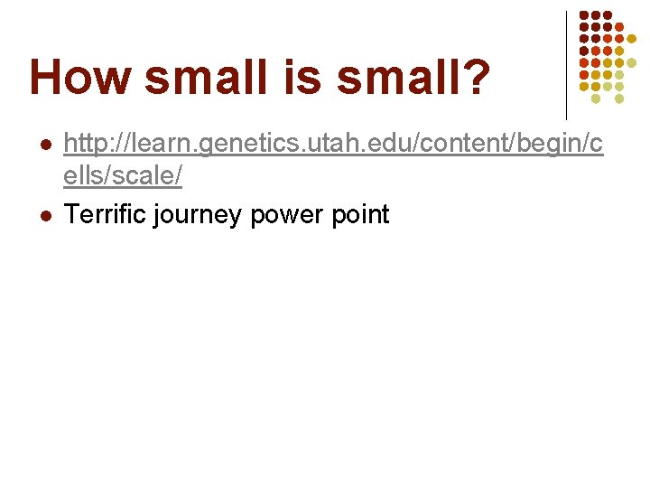 How small is small? l l http: //learn. genetics. utah. edu/content/begin/c ells/scale/ Terrific journey