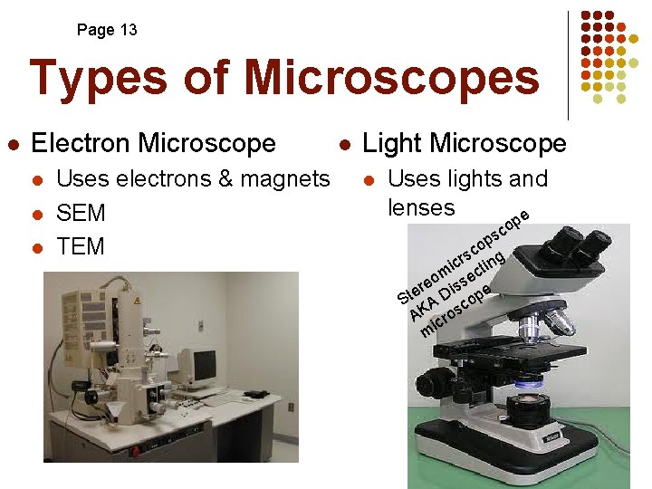 Page 13 Types of Microscopes l Electron Microscope l l l Uses electrons &