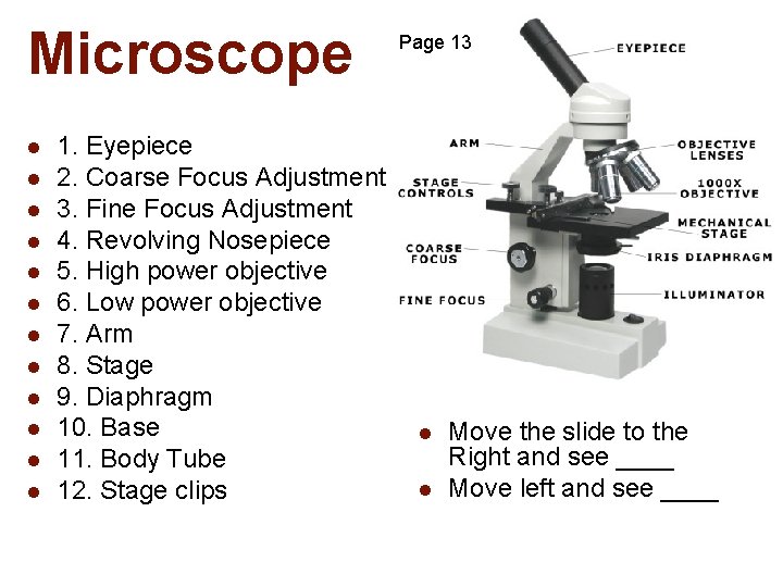 Microscope l l l 1. Eyepiece 2. Coarse Focus Adjustment 3. Fine Focus Adjustment