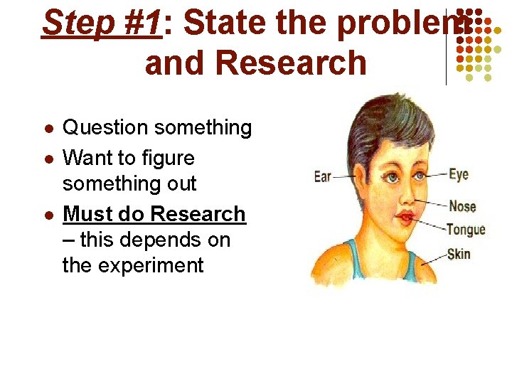Step #1: State the problem and Research l l l Question something Want to