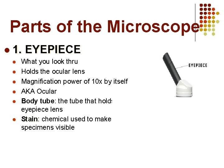 Parts of the Microscope l 1. l l l EYEPIECE What you look thru