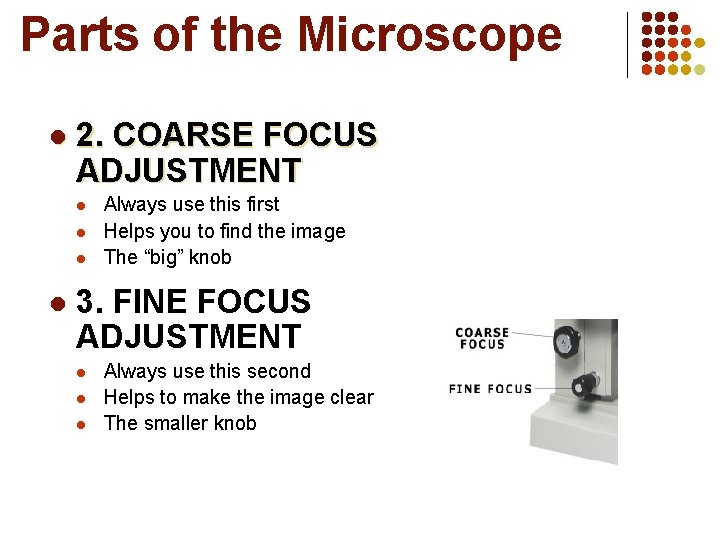 Parts of the Microscope l 2. COARSE FOCUS ADJUSTMENT l l Always use this