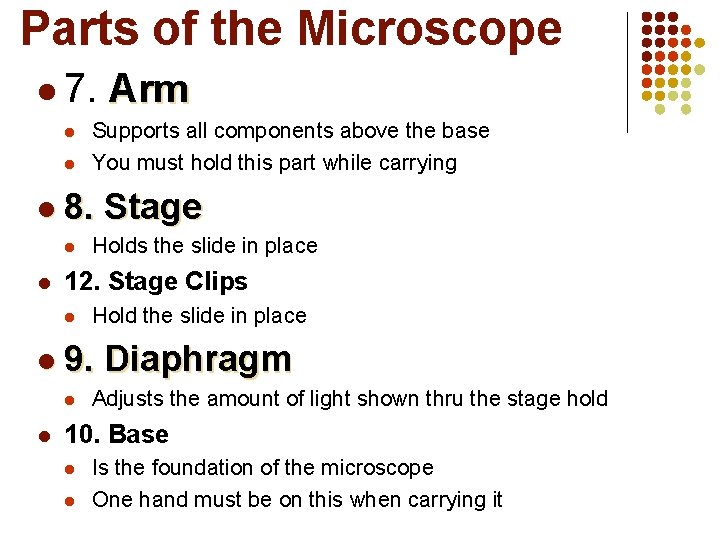 Parts of the Microscope l 7. l l Supports all components above the base