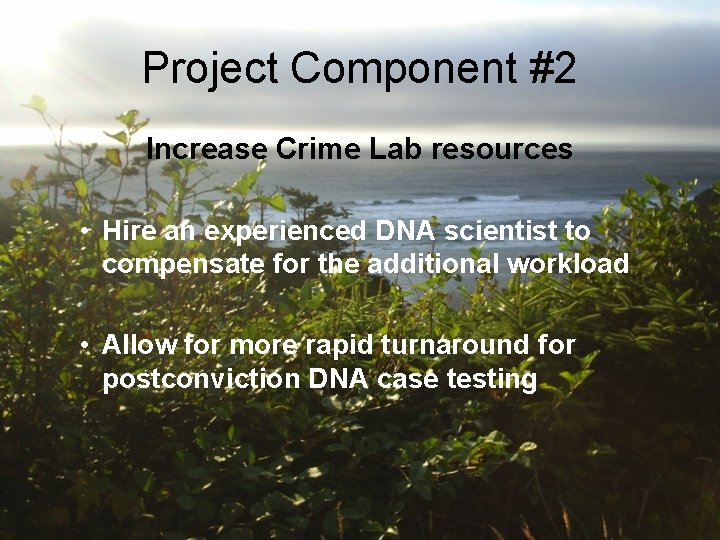Project Component #2 Increase Crime Lab resources • Hire an experienced DNA scientist to