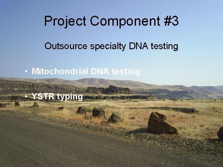 Project Component #3 Outsource specialty DNA testing • Mitochondrial DNA testing • YSTR typing
