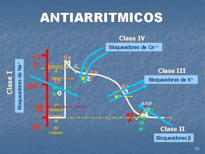 ANTIARRITMICOS Clase IV Bloqueadores de Na+ Clase I Bloqueadores de Ca++ +2 0 m.