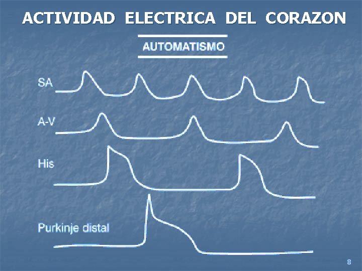 ACTIVIDAD ELECTRICA DEL CORAZON 8 