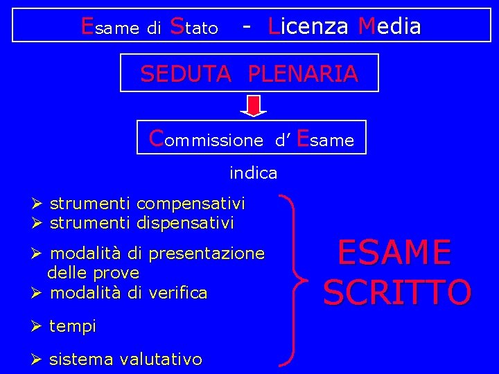 Esame di Stato - Licenza Media SEDUTA PLENARIA Commissione d’ Esame indica strumenti compensativi