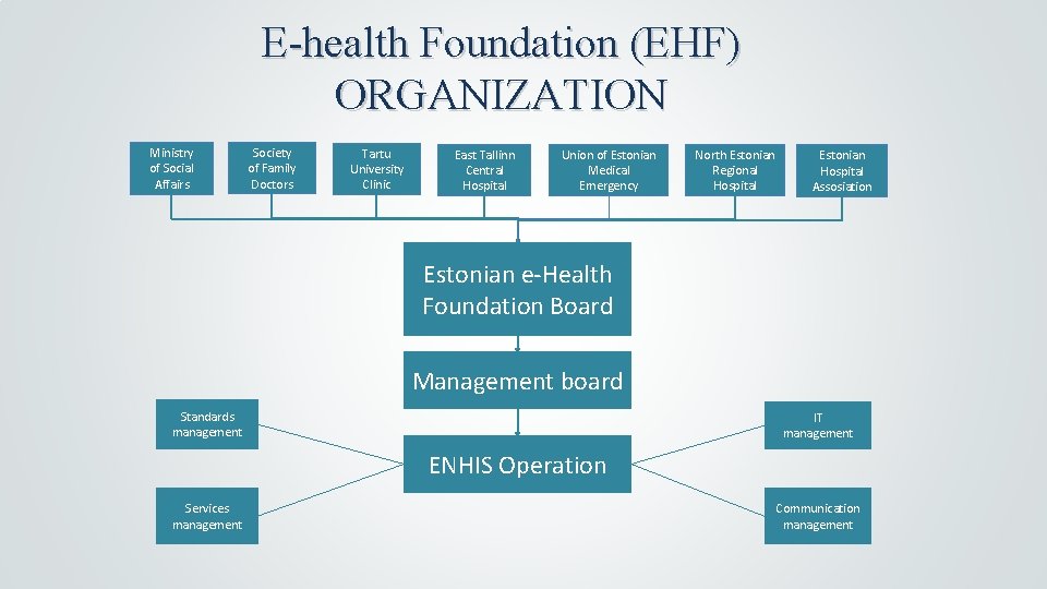 E-health Foundation (EHF) ORGANIZATION Ministry of Social Affairs Society of Family Doctors Tartu University