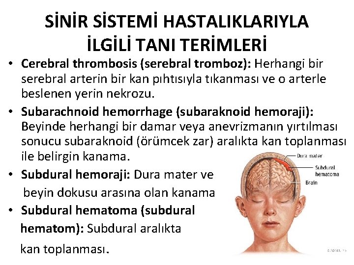 SİNİR SİSTEMİ HASTALIKLARIYLA İLGİLİ TANI TERİMLERİ • Cerebral thrombosis (serebral tromboz): Herhangi bir serebral