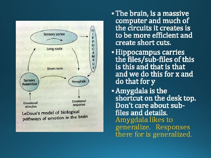 Amygdala likes to generalize. Responses there for is generalized. 