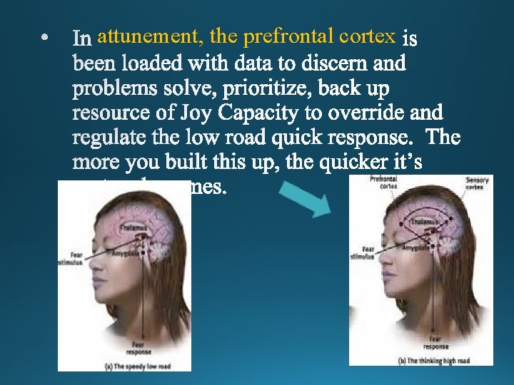 attunement, the prefrontal cortex 