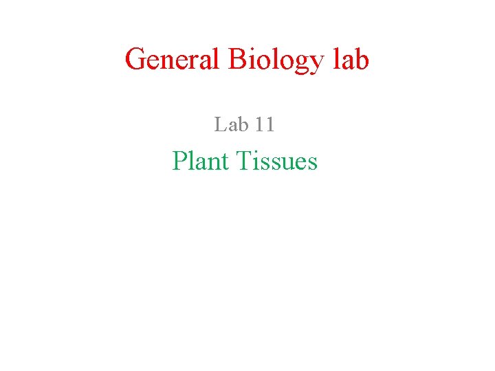 General Biology lab Lab 11 Plant Tissues 