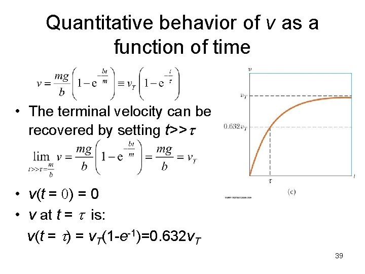 Quantitative behavior of v as a function of time • The terminal velocity can