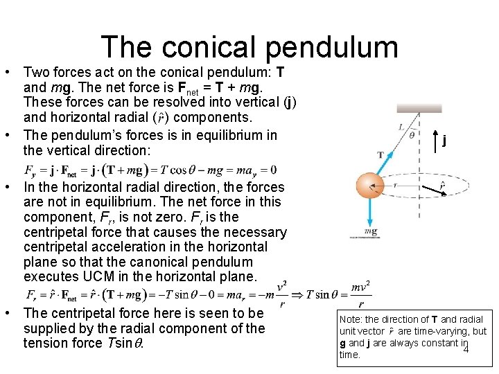 The conical pendulum • Two forces act on the conical pendulum: T and mg.