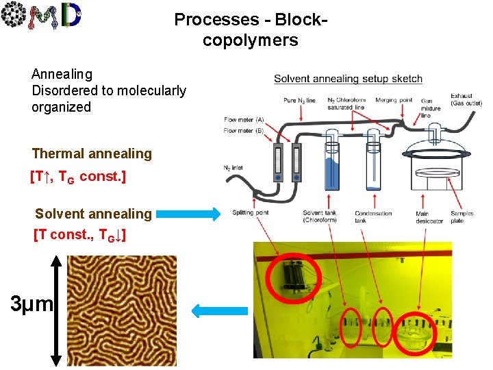 Processes - Blockcopolymers Annealing Disordered to molecularly organized Thermal annealing [T↑, TG const. ]