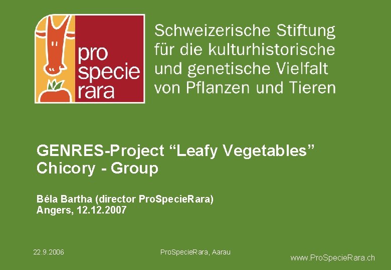 GENRES-Project “Leafy Vegetables” Chicory - Group Béla Bartha (director Pro. Specie. Rara) Angers, 12.