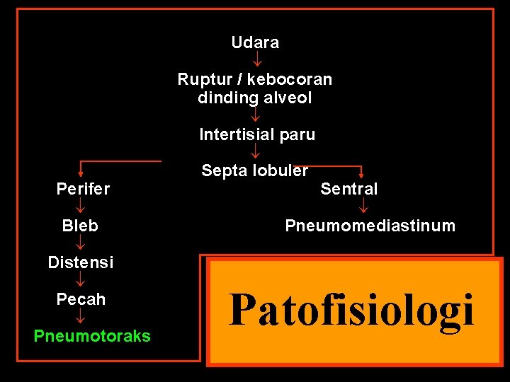 Perifer Bleb Distensi Pecah Pneumotoraks Udara Ruptur / kebocoran dinding alveol Intertisial paru Septa