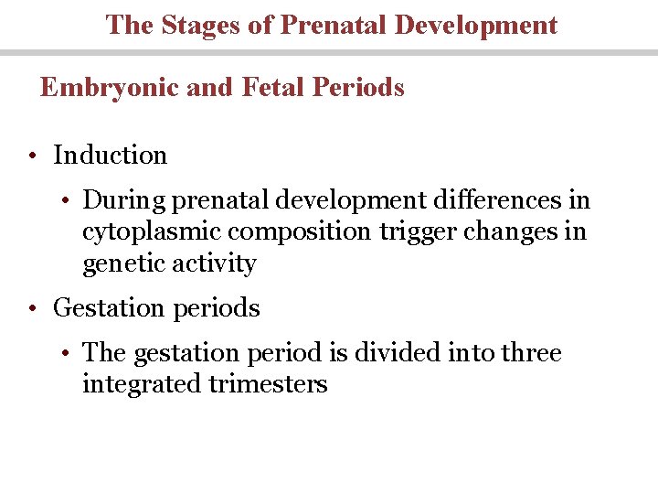 The Stages of Prenatal Development Embryonic and Fetal Periods • Induction • During prenatal