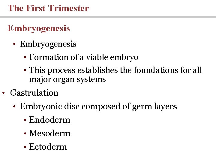 The First Trimester Embryogenesis • Formation of a viable embryo • This process establishes