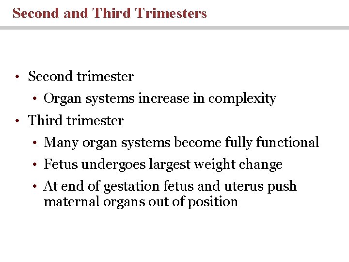 Second and Third Trimesters • Second trimester • Organ systems increase in complexity •